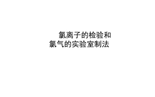 氯离子的检验  课件