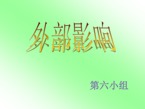 经济学-外部影响