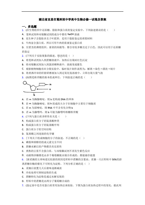 湖北省宜昌市葛洲坝中学高中生物必修一试卷及答案