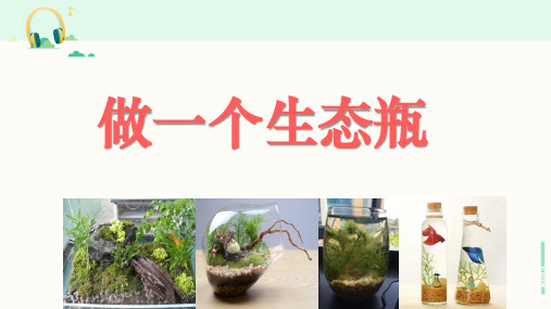 教科版科学五年级上册《做一个生态瓶》课件