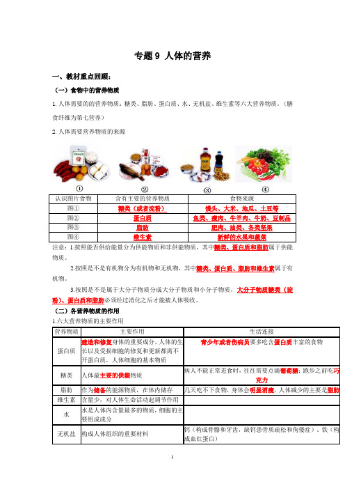 人教版生物中考一轮复习：人体的营养(解析版)