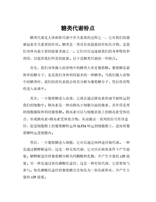 糖类代谢特点