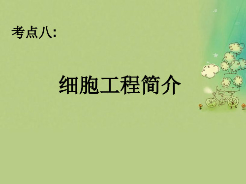 细胞工程简介PPT教学课件