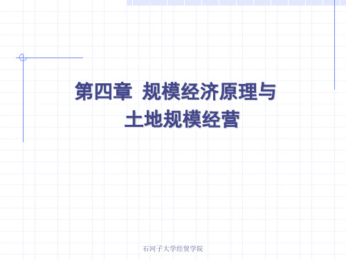 第四章-规模经济原理与土地规模经营