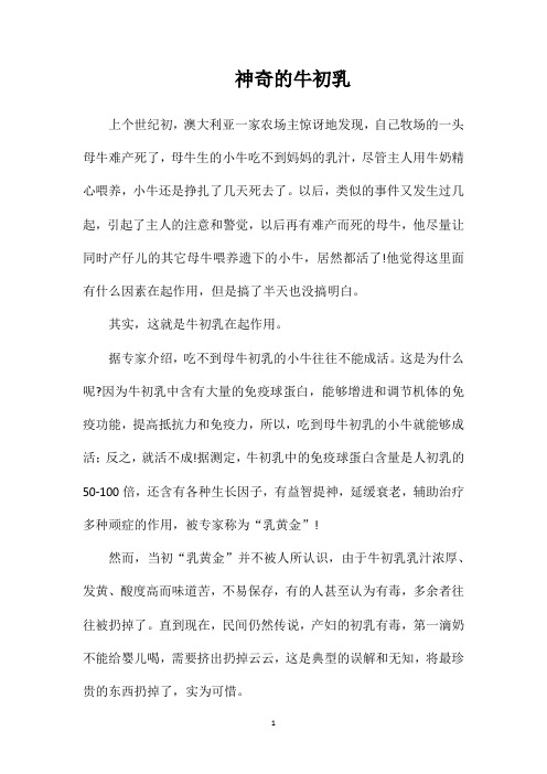 神奇的牛初乳