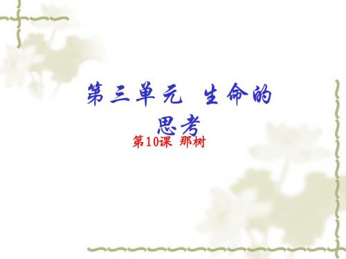 新人教版语文九年级下：第10课《那树》ppt课件(提升版)