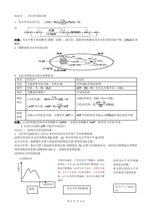 影响光合作用的因素