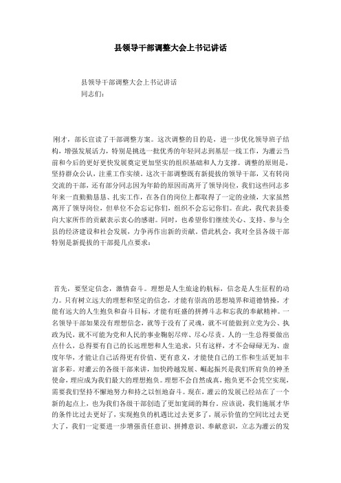 县领导干部调整大会上书记讲话
