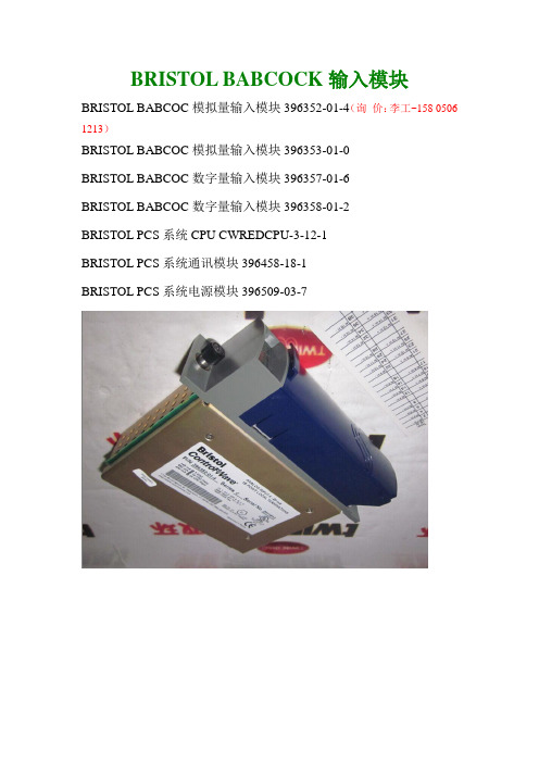 BRISTOL BABCOCK输入模块