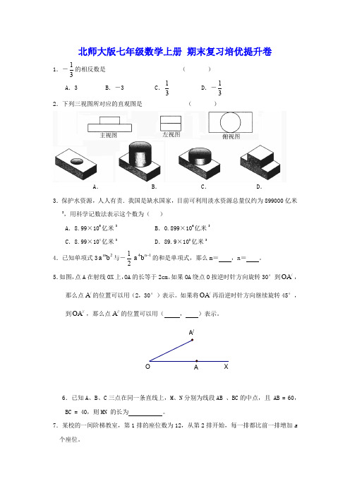 北师大版七年级数学上册 期末复习培优提升卷(含答案)