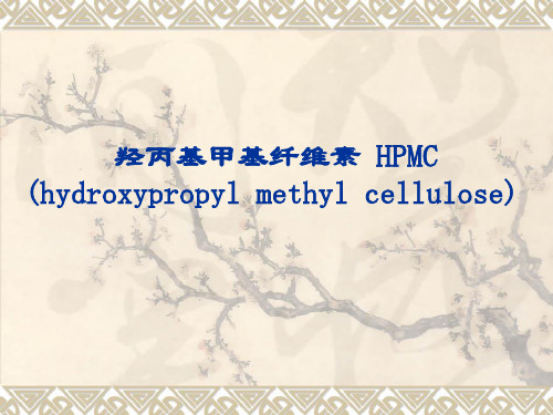HPMC综述