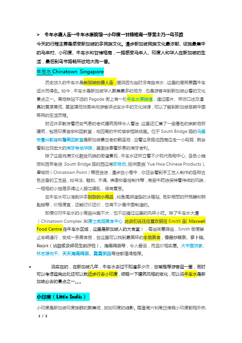 新加坡景点介绍9-牛车水Chinatown Singapore+小印度