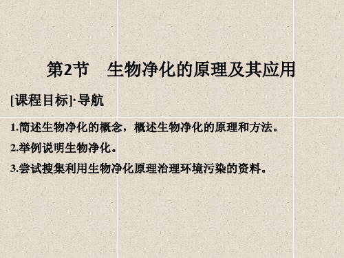 高中生物课件4.2生物净化的原理及其应用