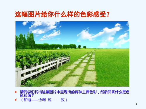 五年级美术上册第2课色彩的和谐课件3人教版