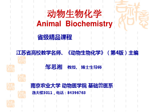 南京农大动物生物化学课件1