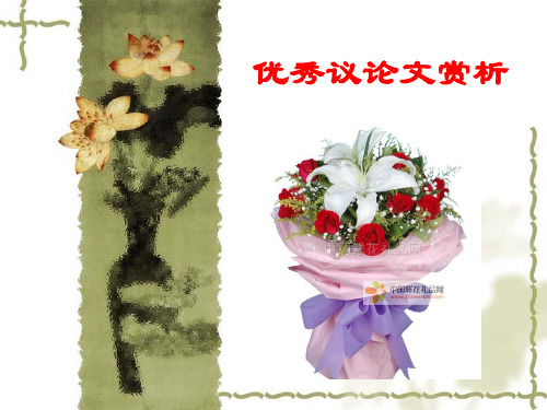 优秀议论文赏析 PPT课件