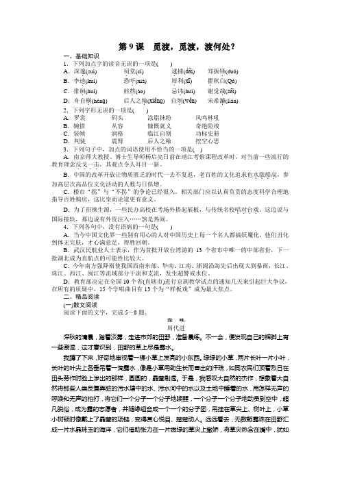 高二(语文)语文版《中国现当代散文鉴赏》课时作业：第9课 觅渡觅渡渡何处？ Word版含解析