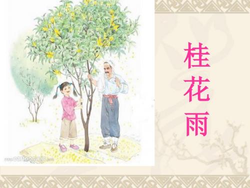桂花雨第二课时ppt
