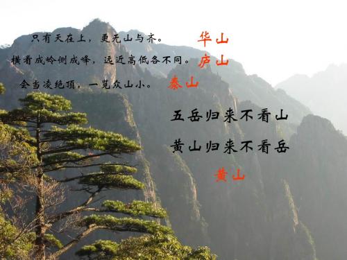 16黄山奇松.ppt