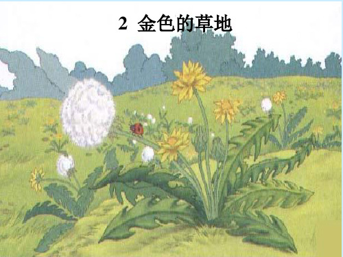 2金色的草地PPT