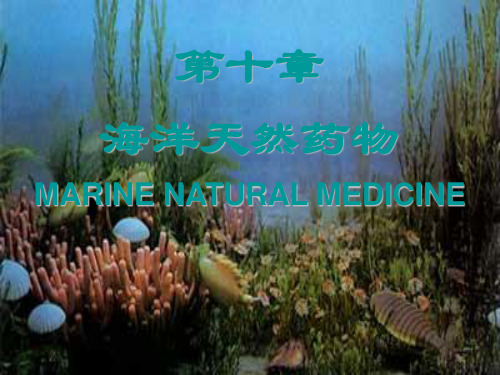 海洋天然产物-PPT文档资料