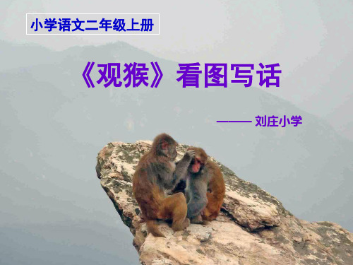 《观猴》说课课件