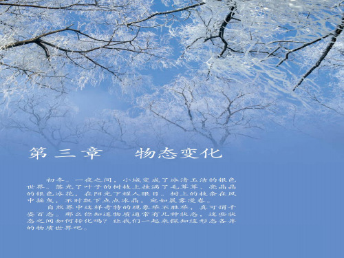 人教版物理八年级上册第三章物态变化 综合复习