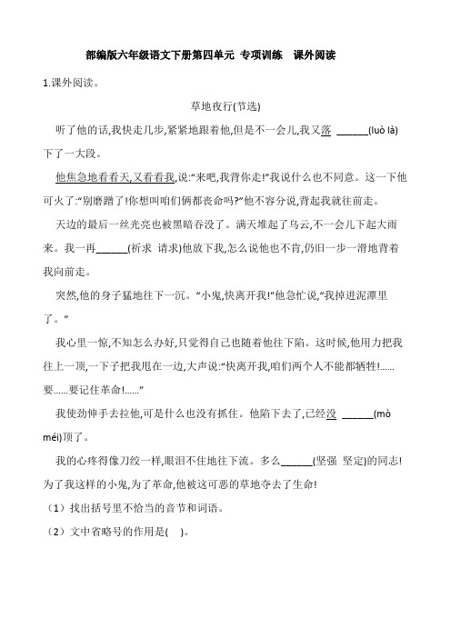部编版六年级语文下册第四单元 专项训练  课外阅读(含答案)