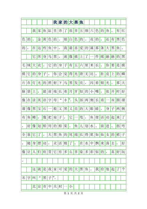 年三年级状物作文-我家的大黑鱼400字