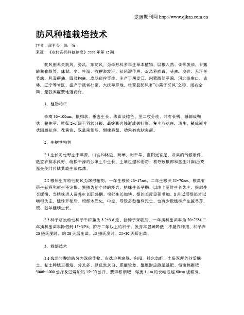 防风种植栽培技术