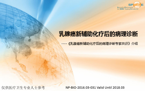 乳腺癌新辅助化疗后的病理诊断