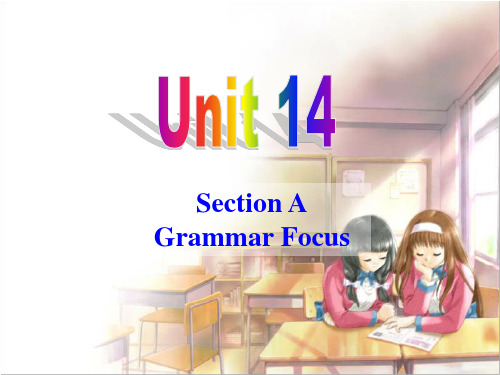 九年级Unit 14Grammar Focus