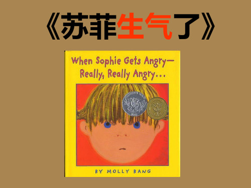 故事ppt-苏菲生气了()-ppt课件 