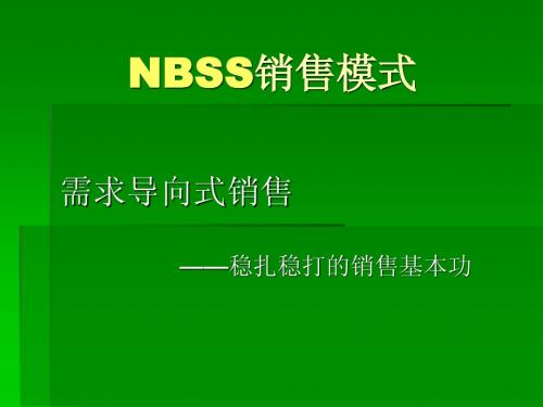 NBSS销售模式