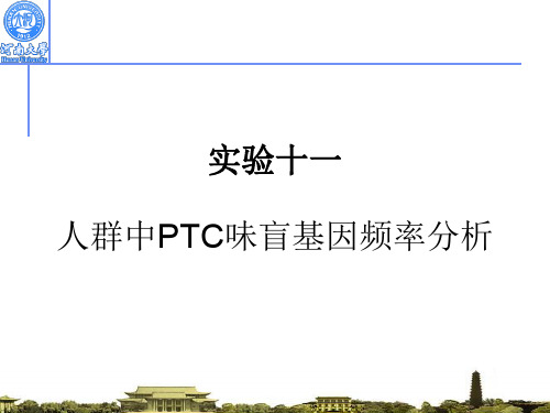 人群中PTC味盲基因频率分析