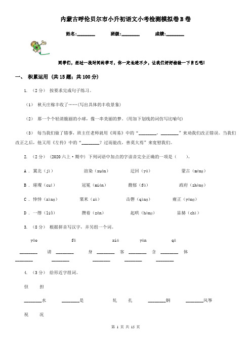 内蒙古呼伦贝尔市小升初语文小考检测模拟卷B卷