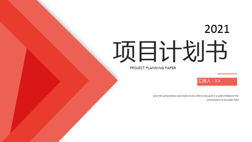 红色精美简约项目计划书通用ppt