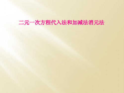 二元一次方程代入法和加减法消元法