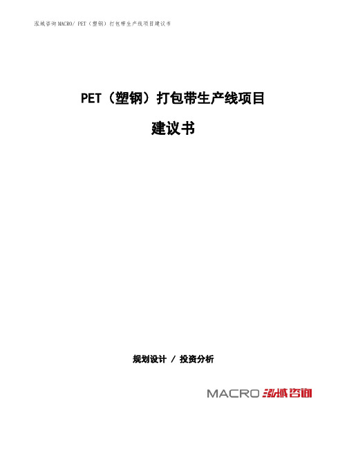 PET(塑钢)打包带生产线项目建议书(总投资3910.57万元)
