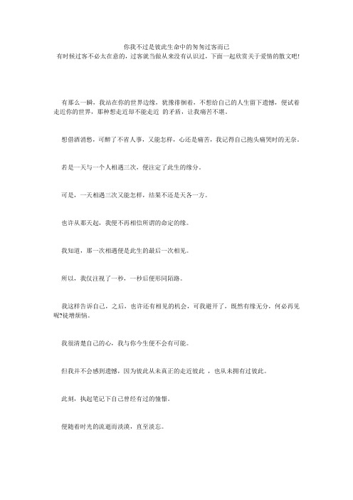 你我不过是彼此生命中的匆匆过客而已