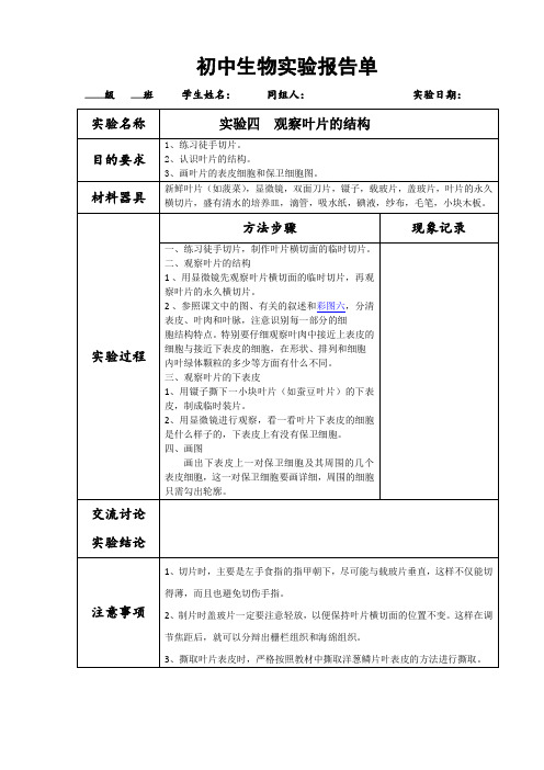 初中生物观察叶片的结构实验报告
