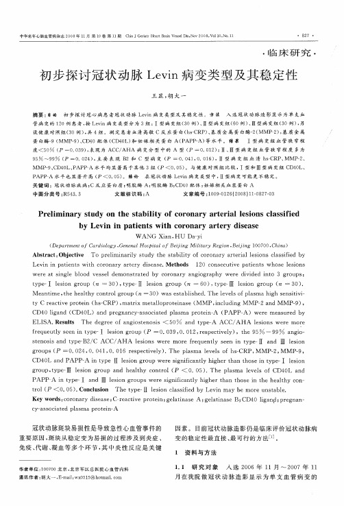 初步探讨冠状动脉Levin病变类型及其稳定性