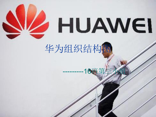 华为组织结构图 ppt课件