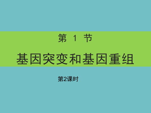 5.1基因突变和基因重组第2课时-人教版高中生物必修2课件(共22张PPT)