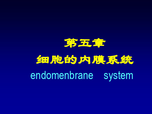 细胞生物学课件：第五章 细胞的内膜系统2