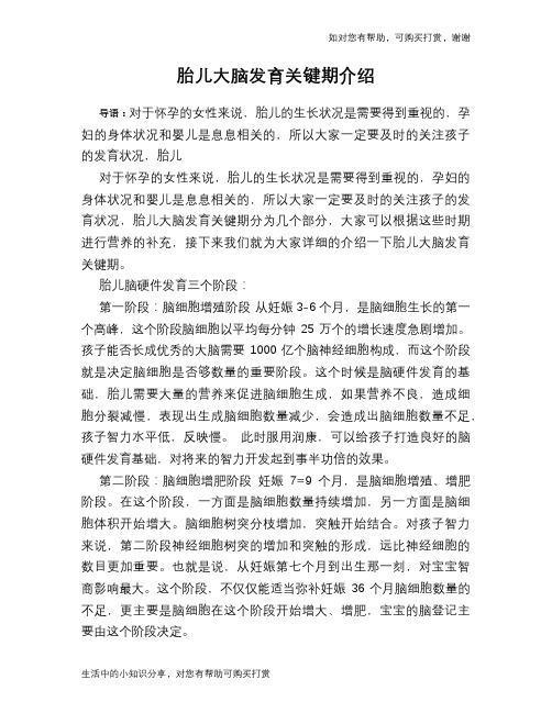 胎儿大脑发育关键期介绍