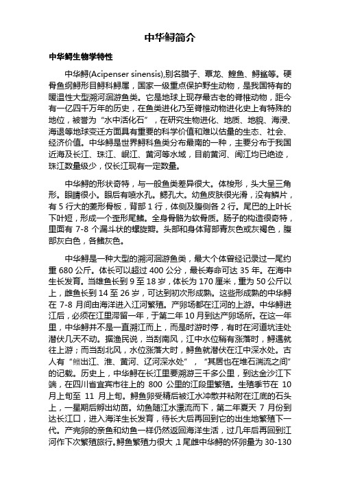 中华鲟