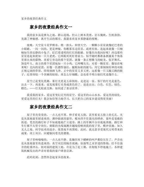家乡的夜景经典作文