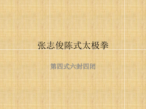 张志俊陈式太极拳六封四闭