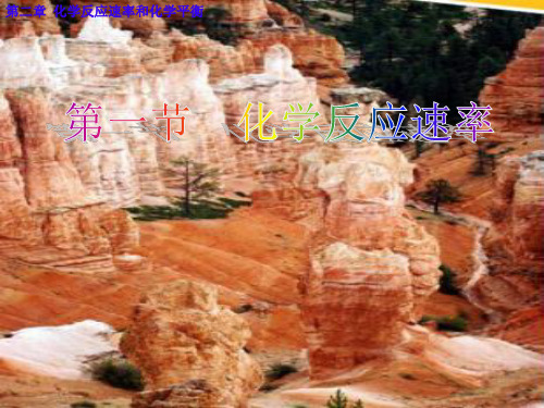 《化学反应速率》PPT【人教版】